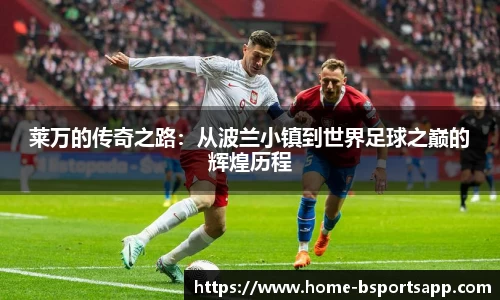 b体育